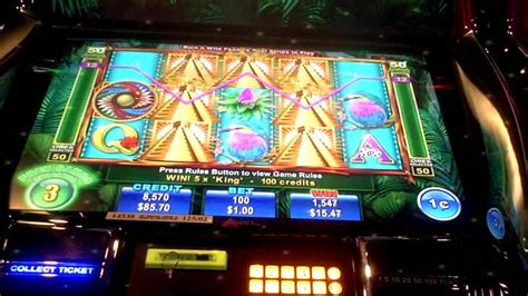 rich n wild slot machine/